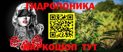 гашик Ставрополь