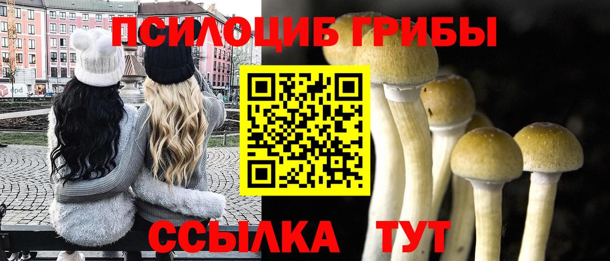 Псилоцибиновые грибы Cubensis Приморско-Ахтарск